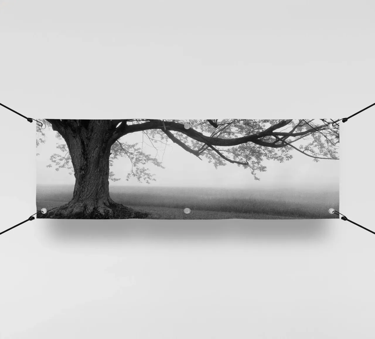 Vecchio albero in una fattoria telo in pvc da Brant Varner