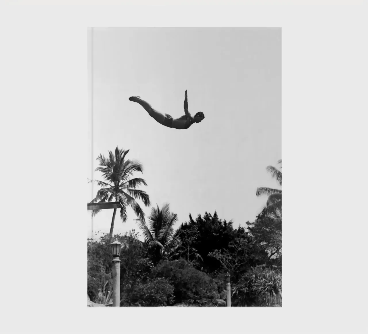 Springboard diver over palm trees notebook by Brant Varner