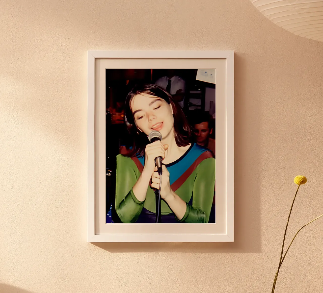 Bjork poster da Digital Street art