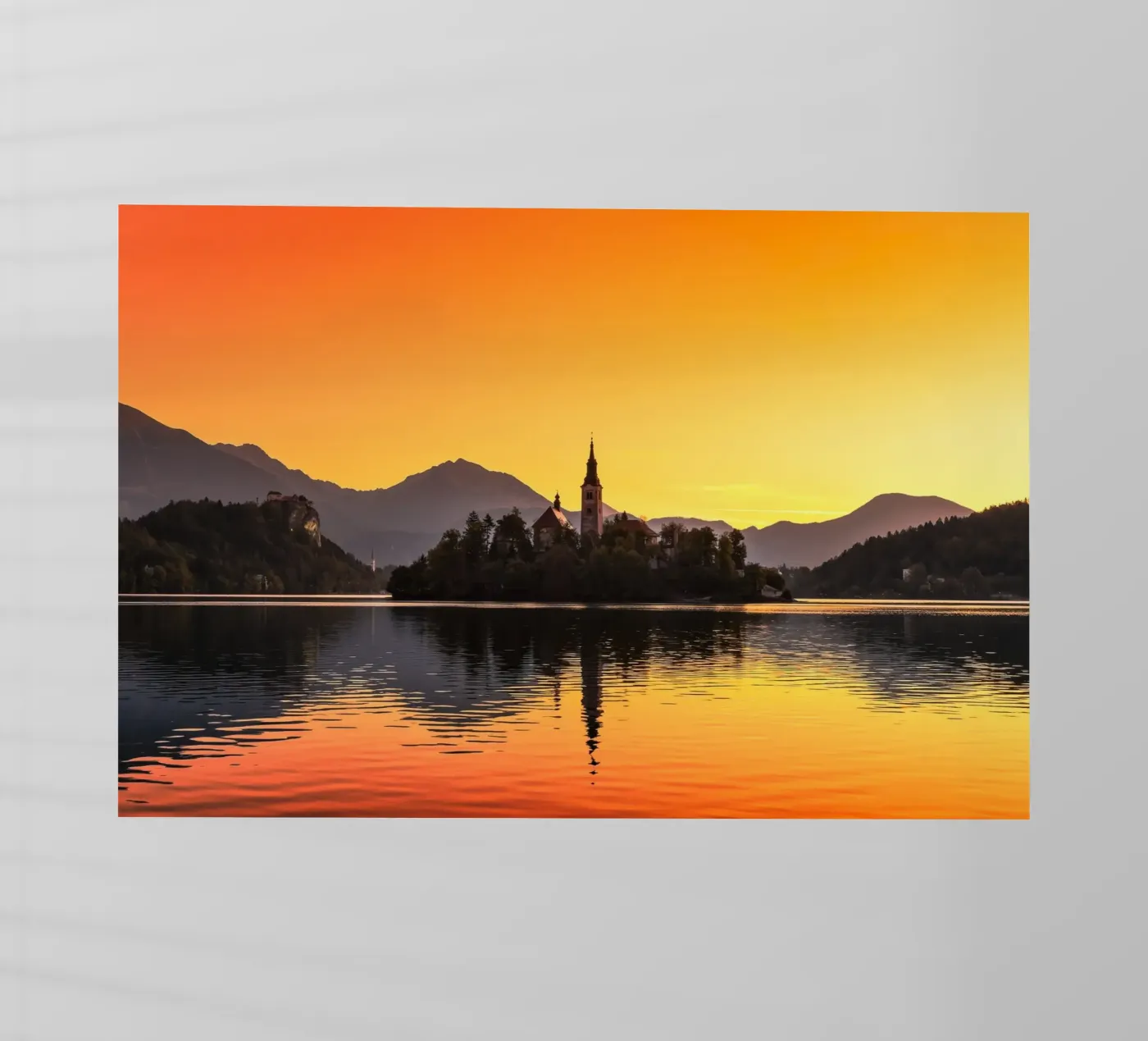 BLED 01 pellicola backlit da Tom Uhlenberg