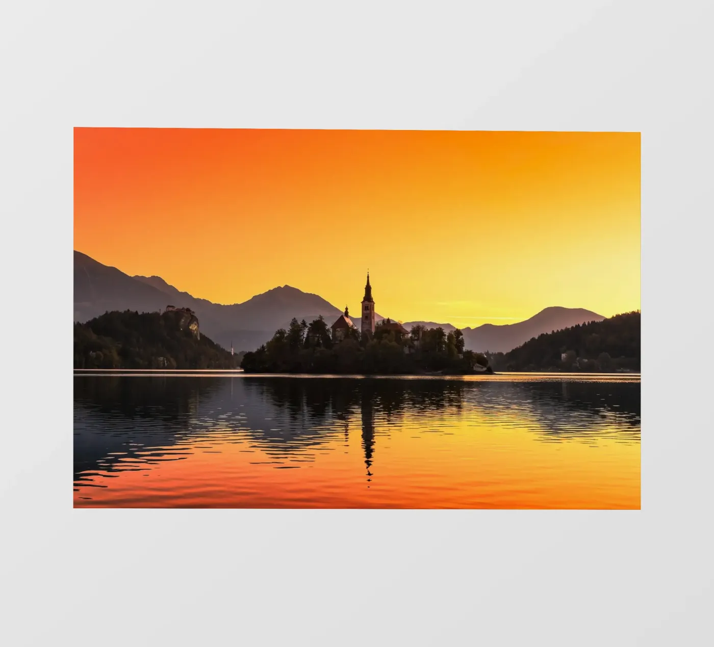 BLED 01 pellicola backlit da Tom Uhlenberg