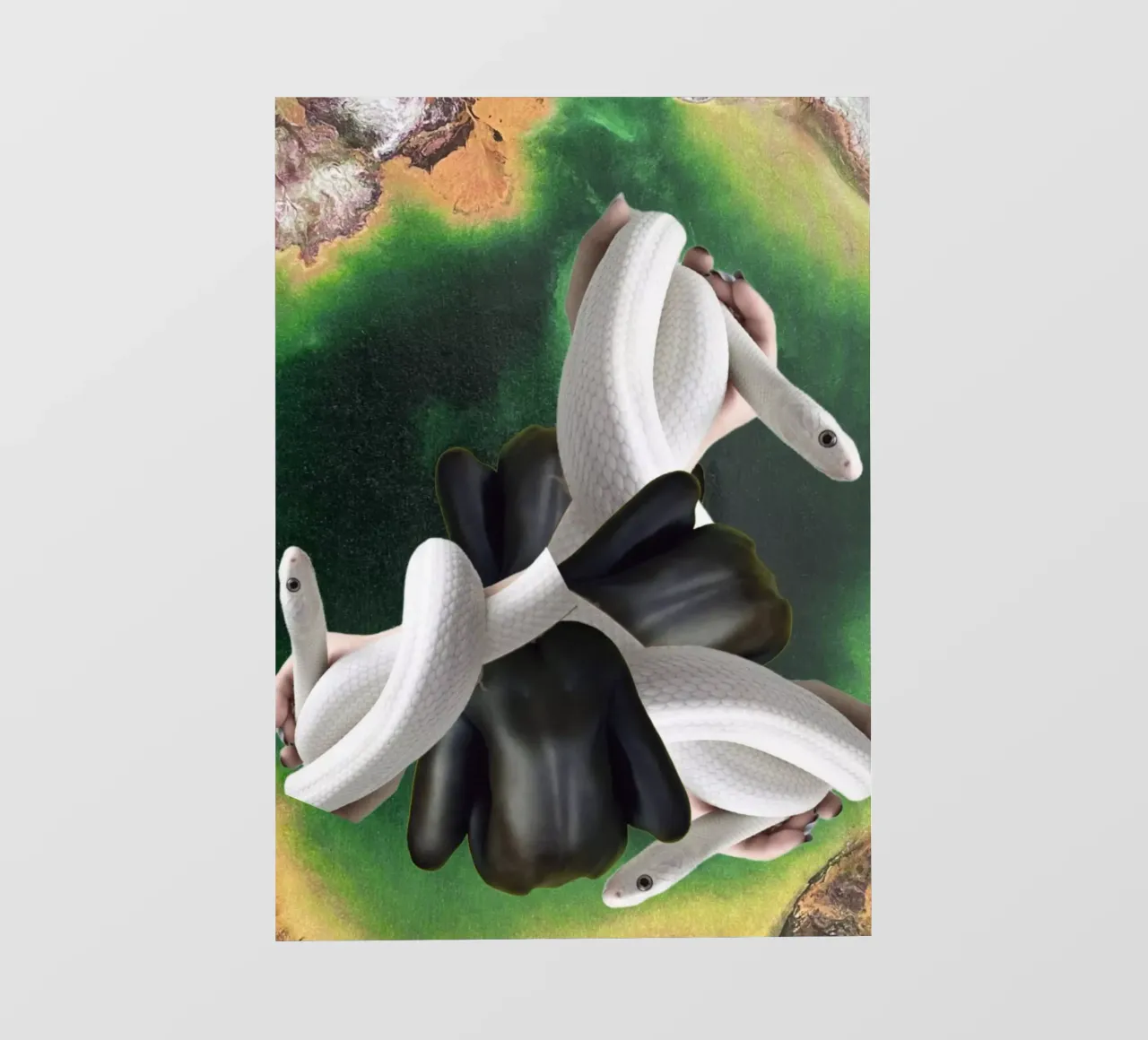 Serpente pellicola backlit da dekonstruktiv