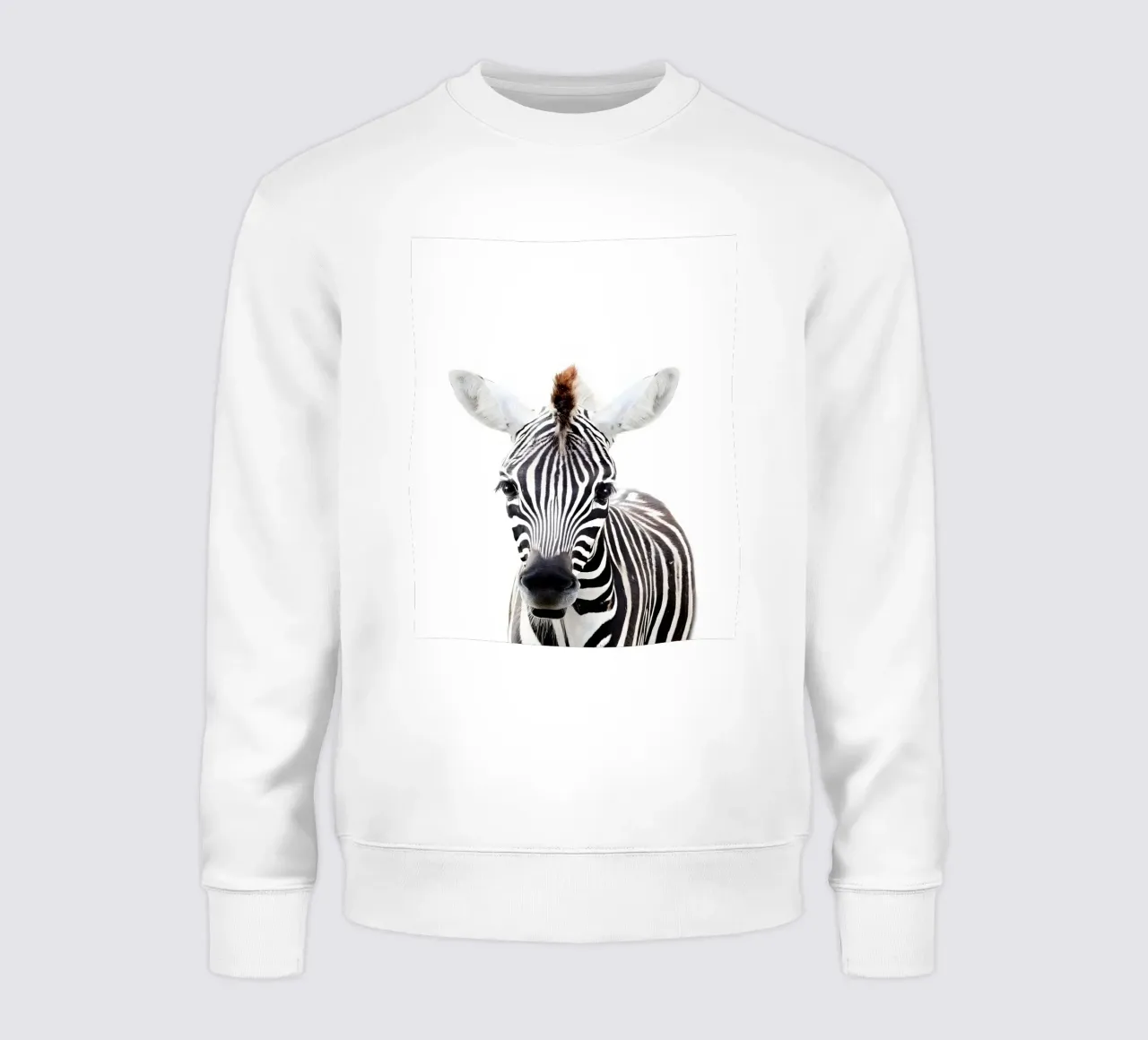 Ritratto di zebra felpa da Pixel Boy
