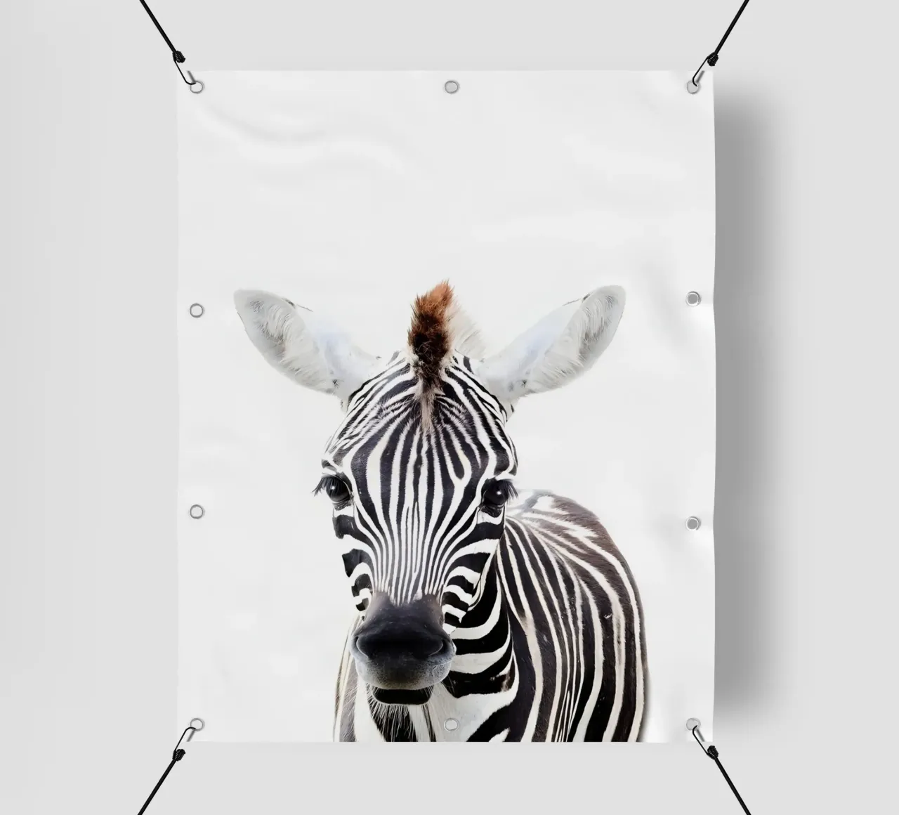 Ritratto di zebra telo in pvc da Pixel Boy