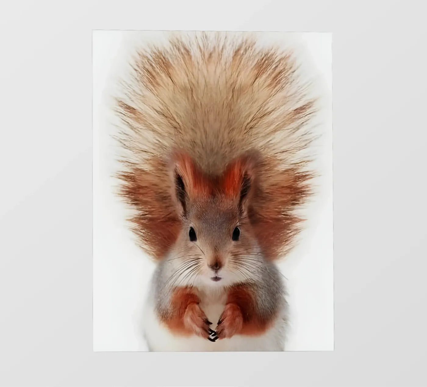 Queue duveteuse bâche pvc de Pixel Boy