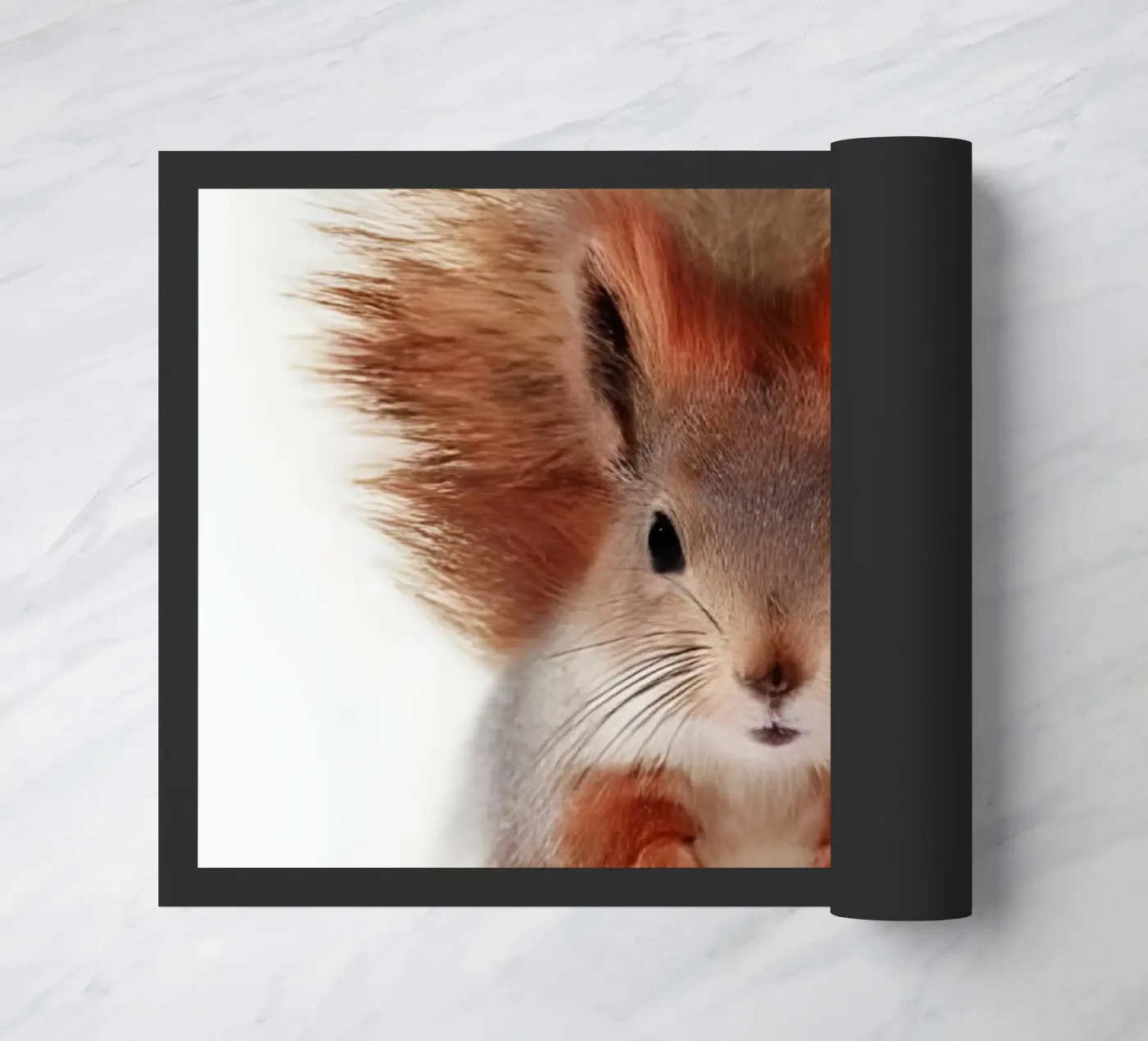 Fluffy Tail doormat by Pixel Boy