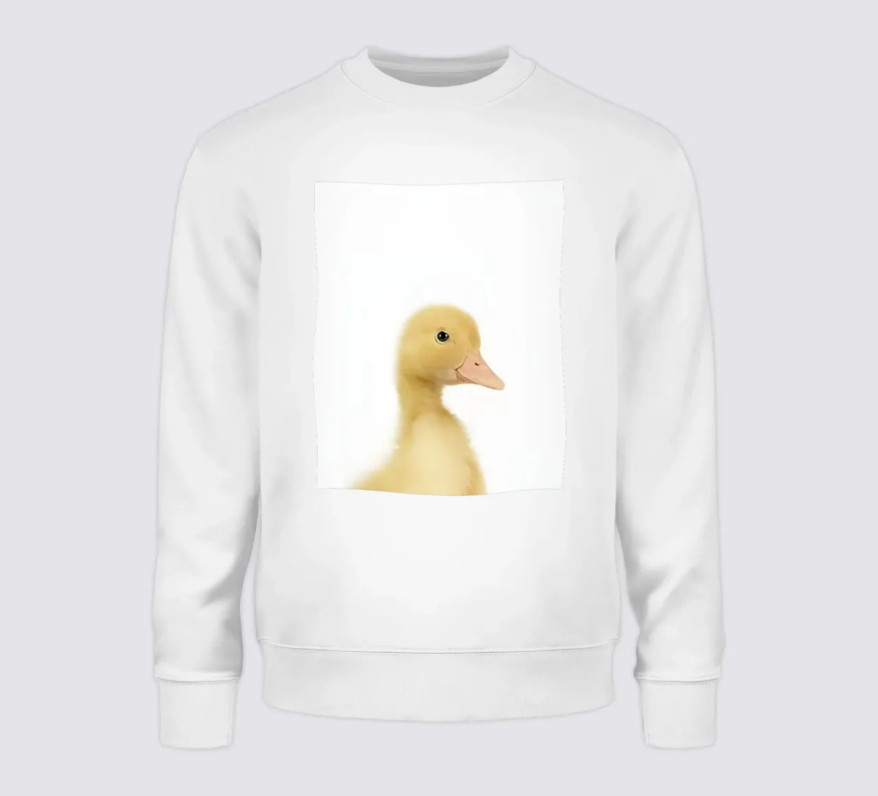 Solo una piccola anatra felpa da Pixel Boy