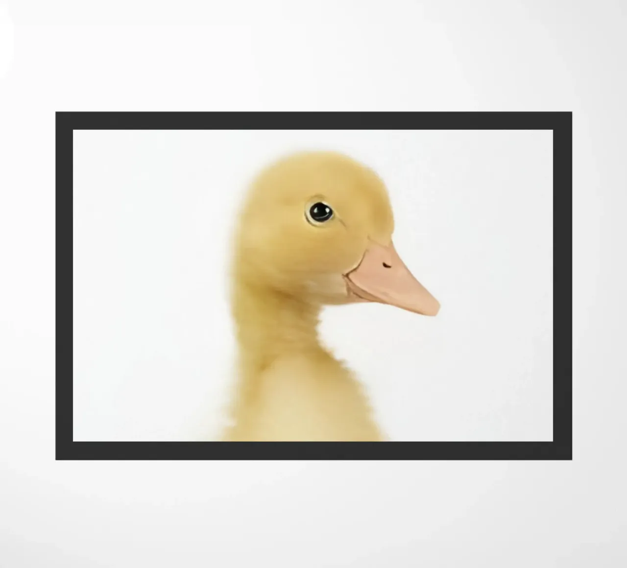 Solo una piccola anatra zerbino da Pixel Boy