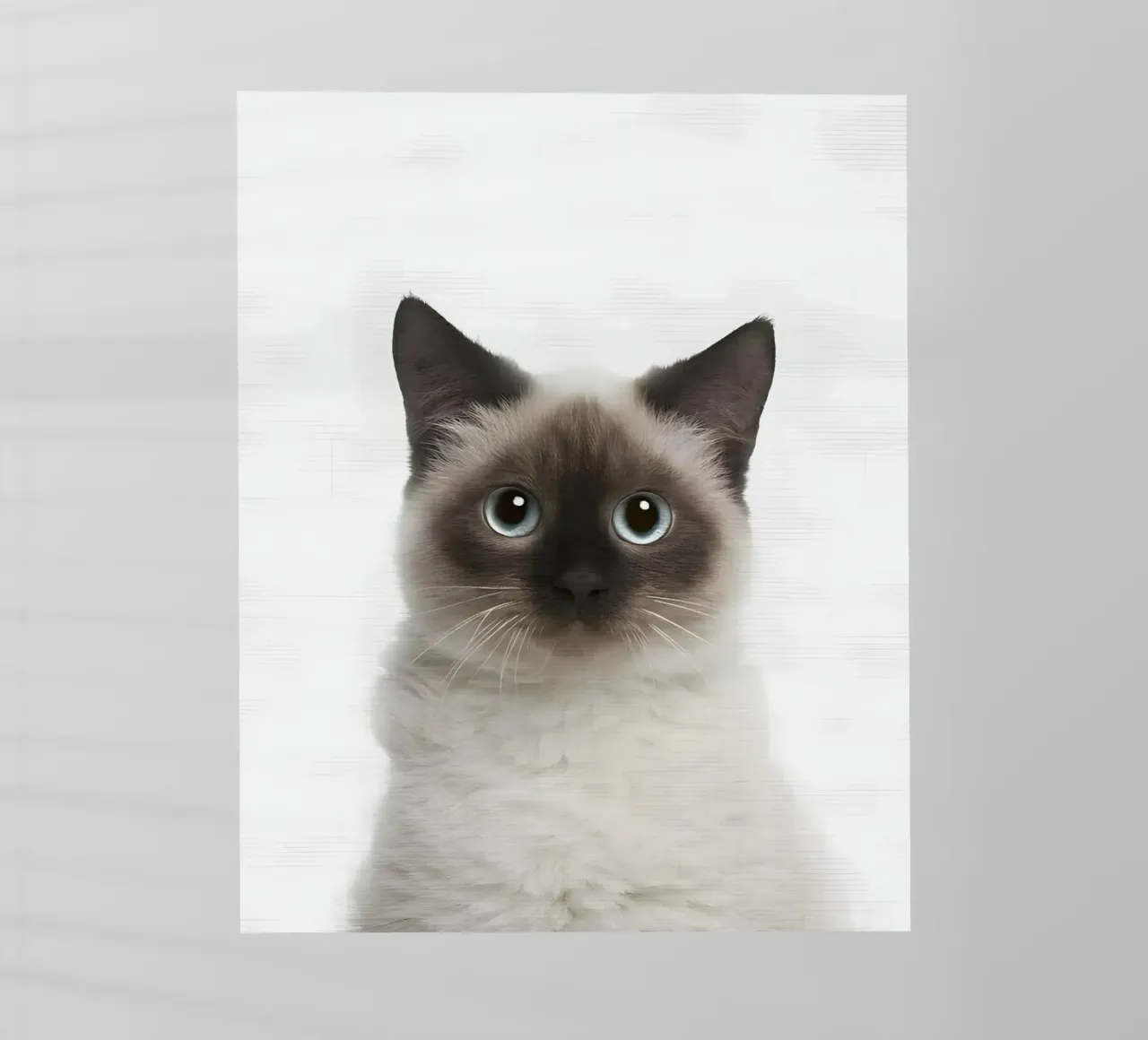 Siamese dagli occhi blu pellicola backlit da Pixel Boy