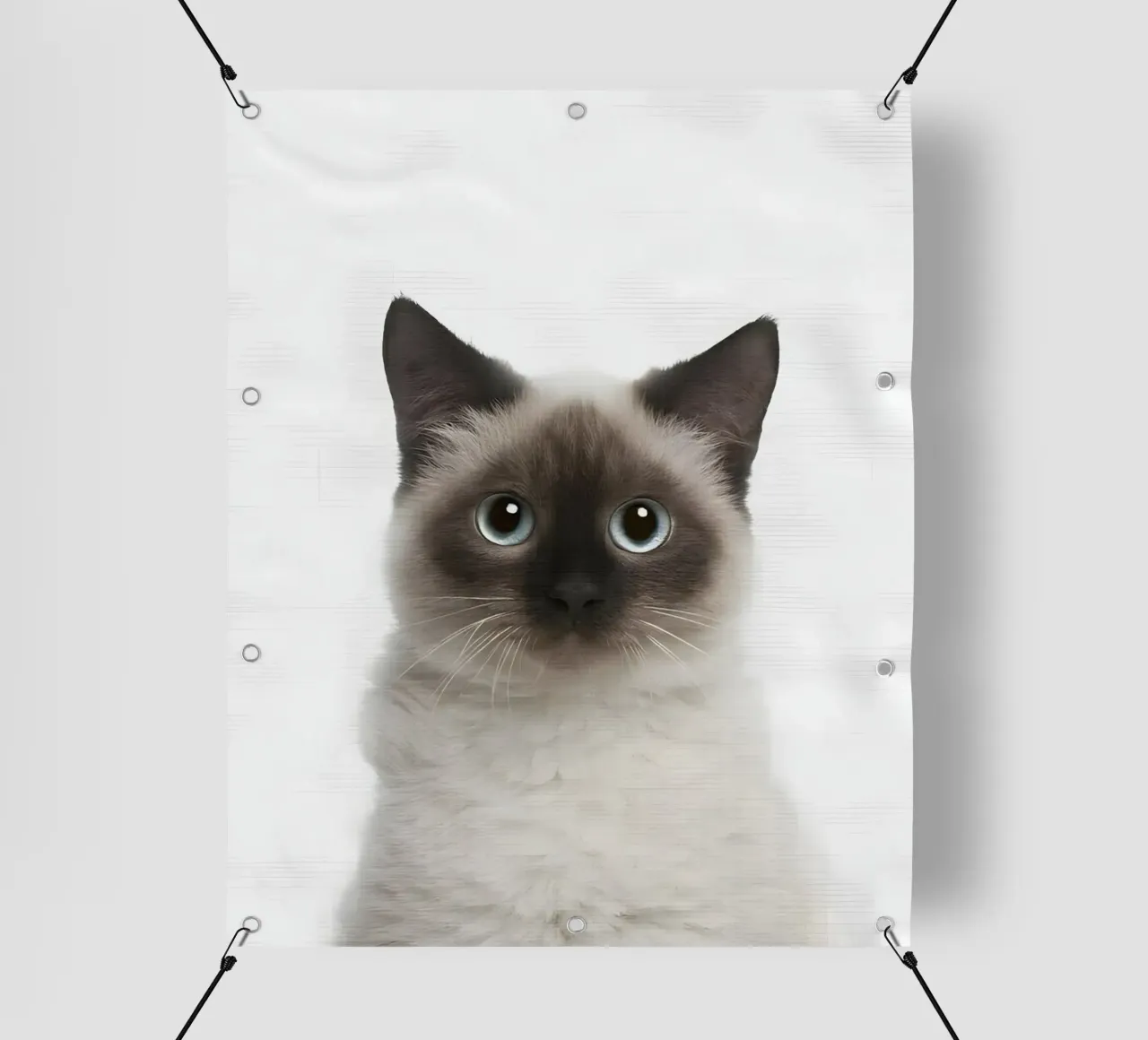 Siamese dagli occhi blu telo in pvc da Pixel Boy