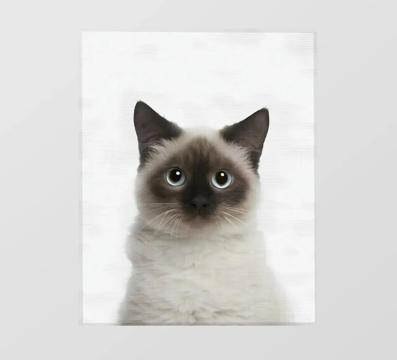Siamese dagli occhi blu telo in pvc da Pixel Boy