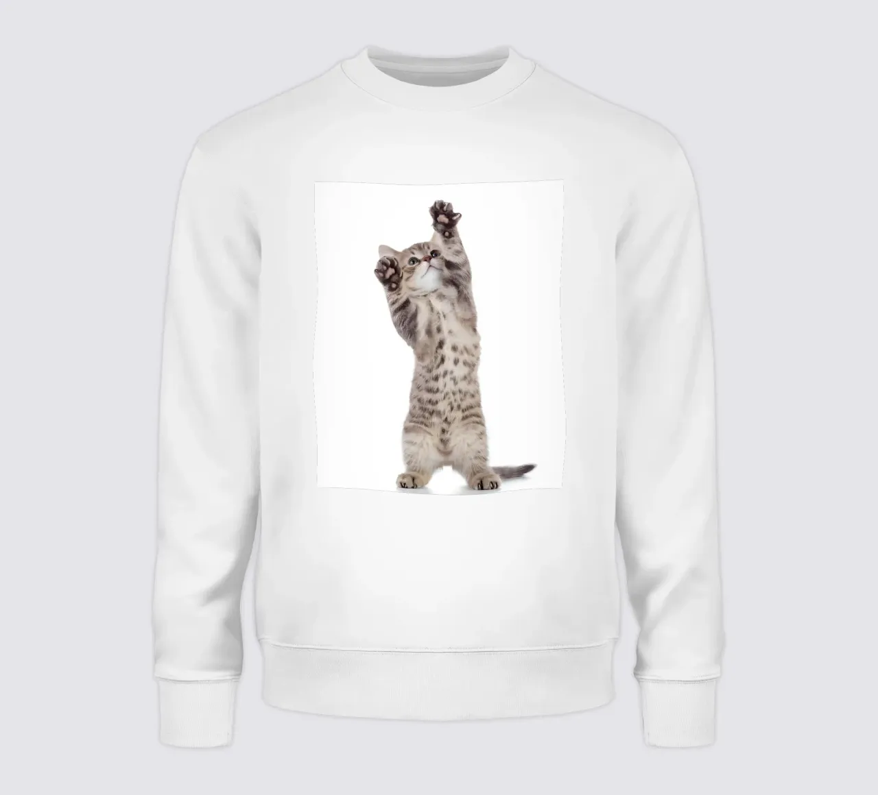 Paws Up! sweatshirt by Pixel Boy