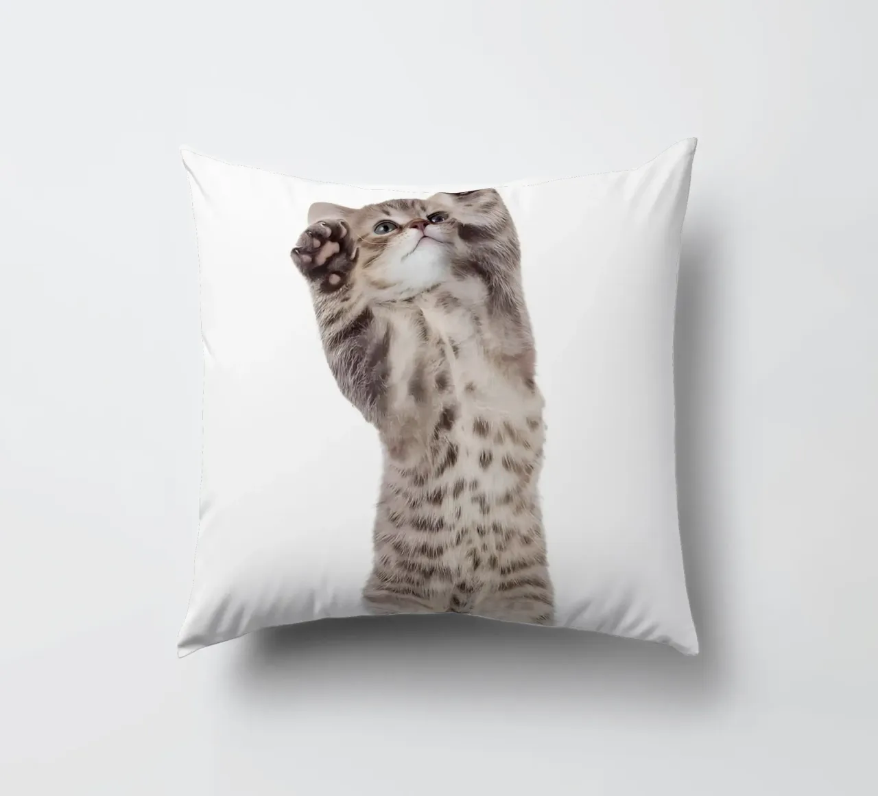 Zampe in su! cuscino da Pixel Boy