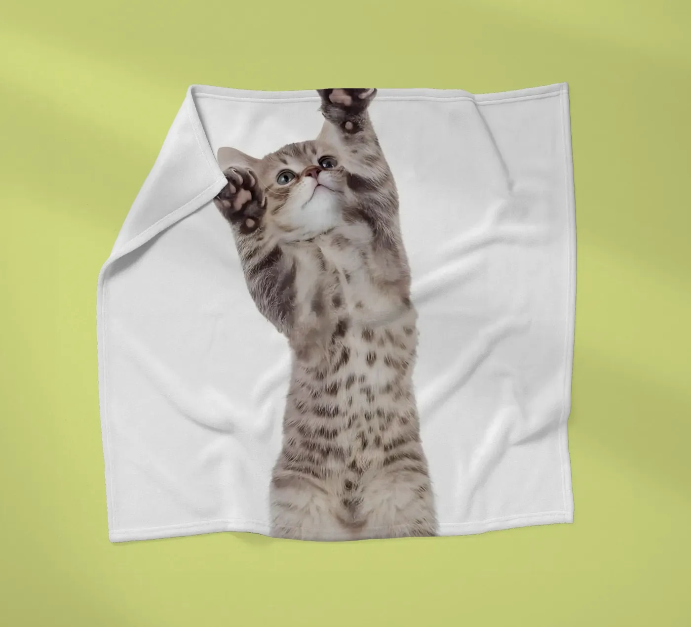 Paws Up! coperta in pile da Pixel Boy