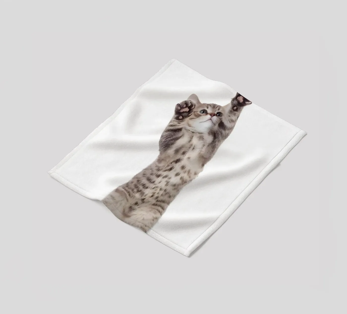 Paws Up! coperta in pile da Pixel Boy
