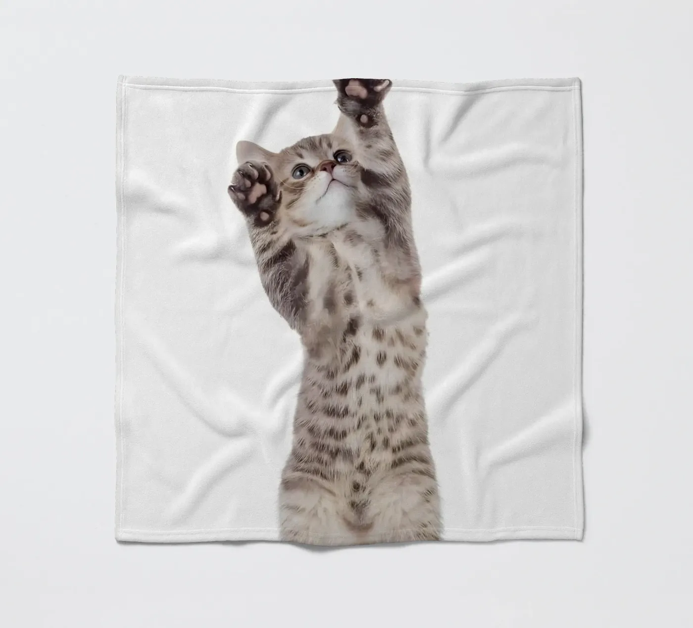 Paws Up! coperta in pile da Pixel Boy