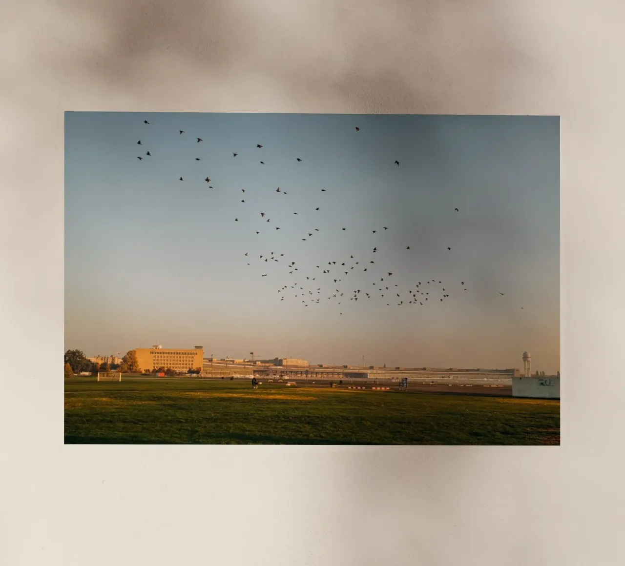 Una mattina d'autunno a Berlino | Tempelhofer Feld pellicola backlit da Bold and Retro