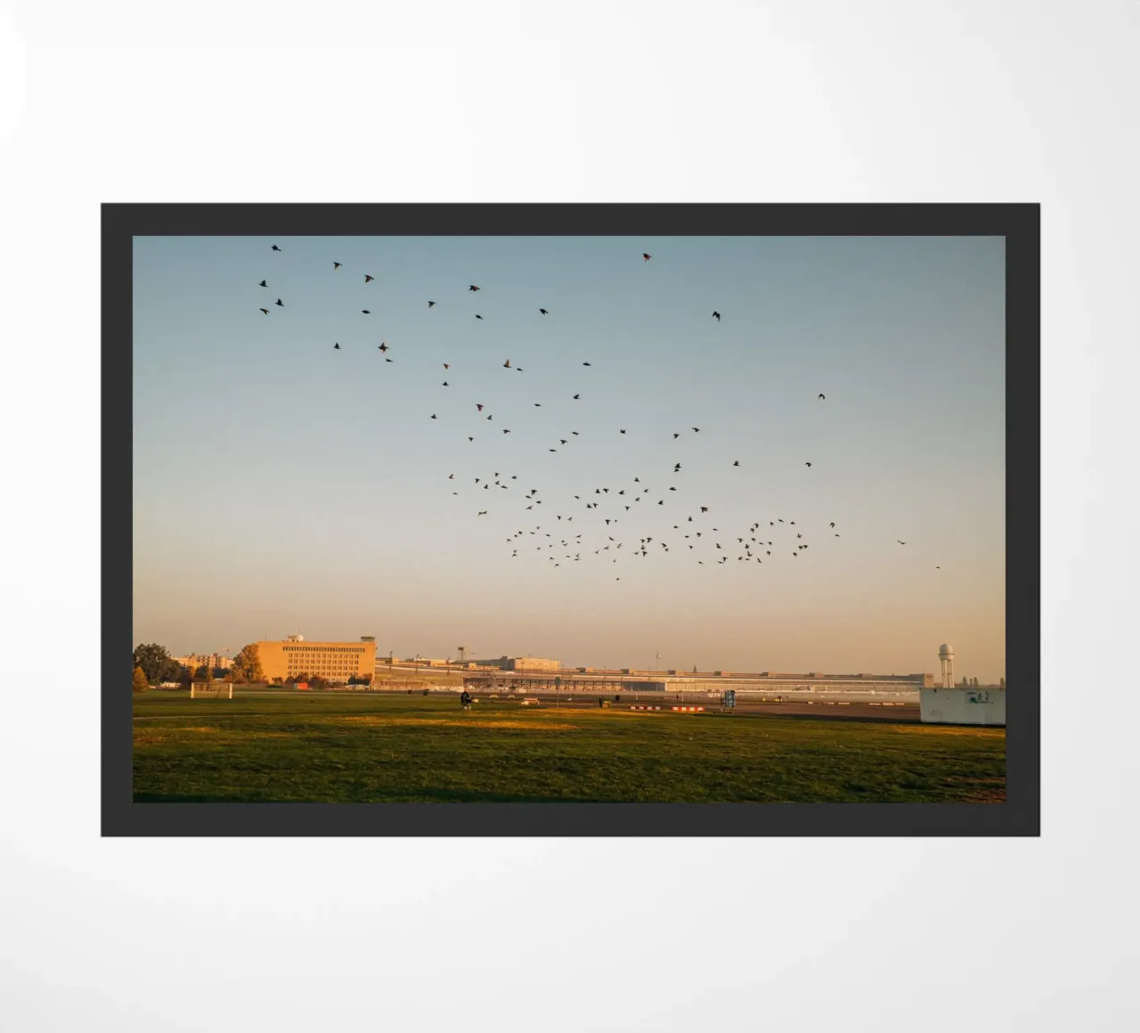 Una mattina d'autunno a Berlino | Tempelhofer Feld zerbino da Bold and Retro