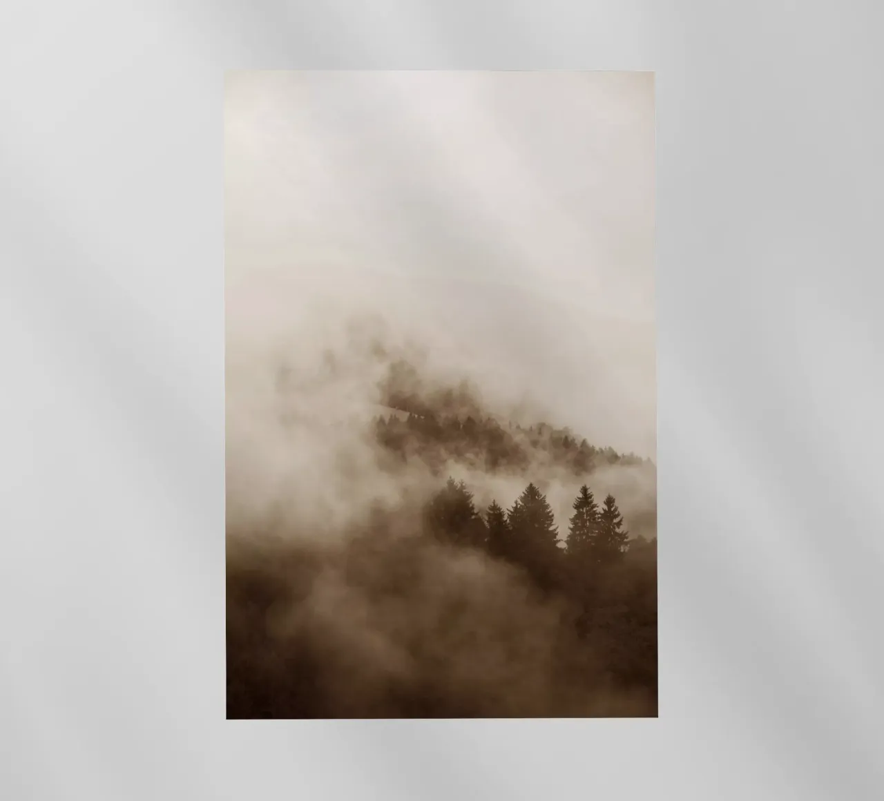 hued foggy forests pellicola backlit da Studio Nahili