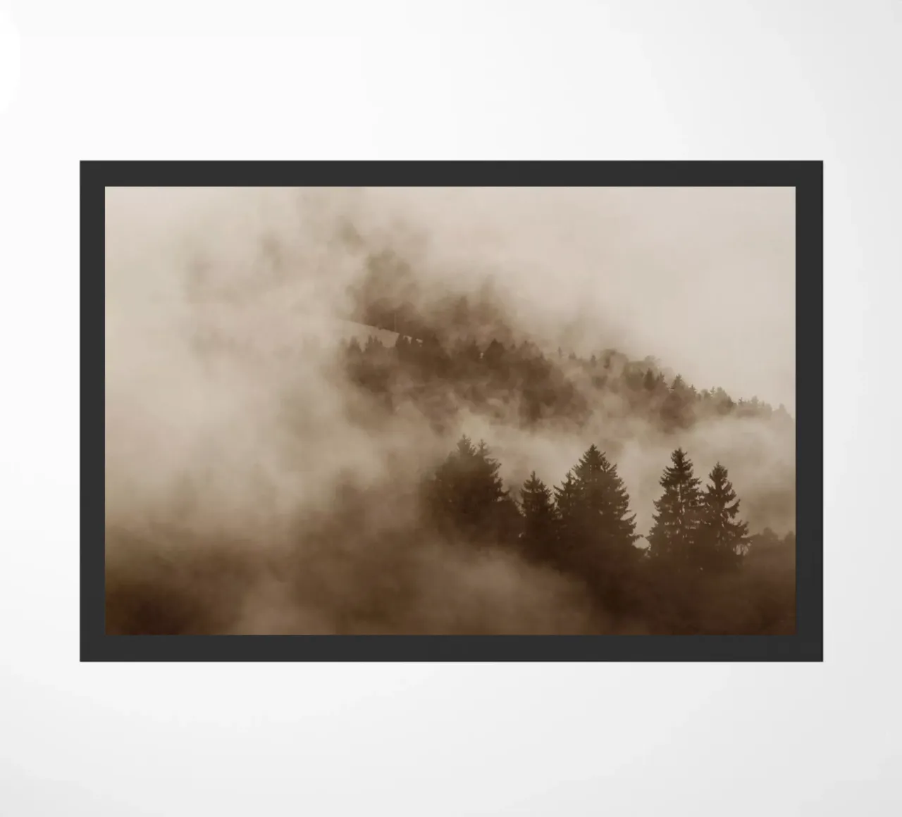 hued foggy forests zerbino da Studio Nahili