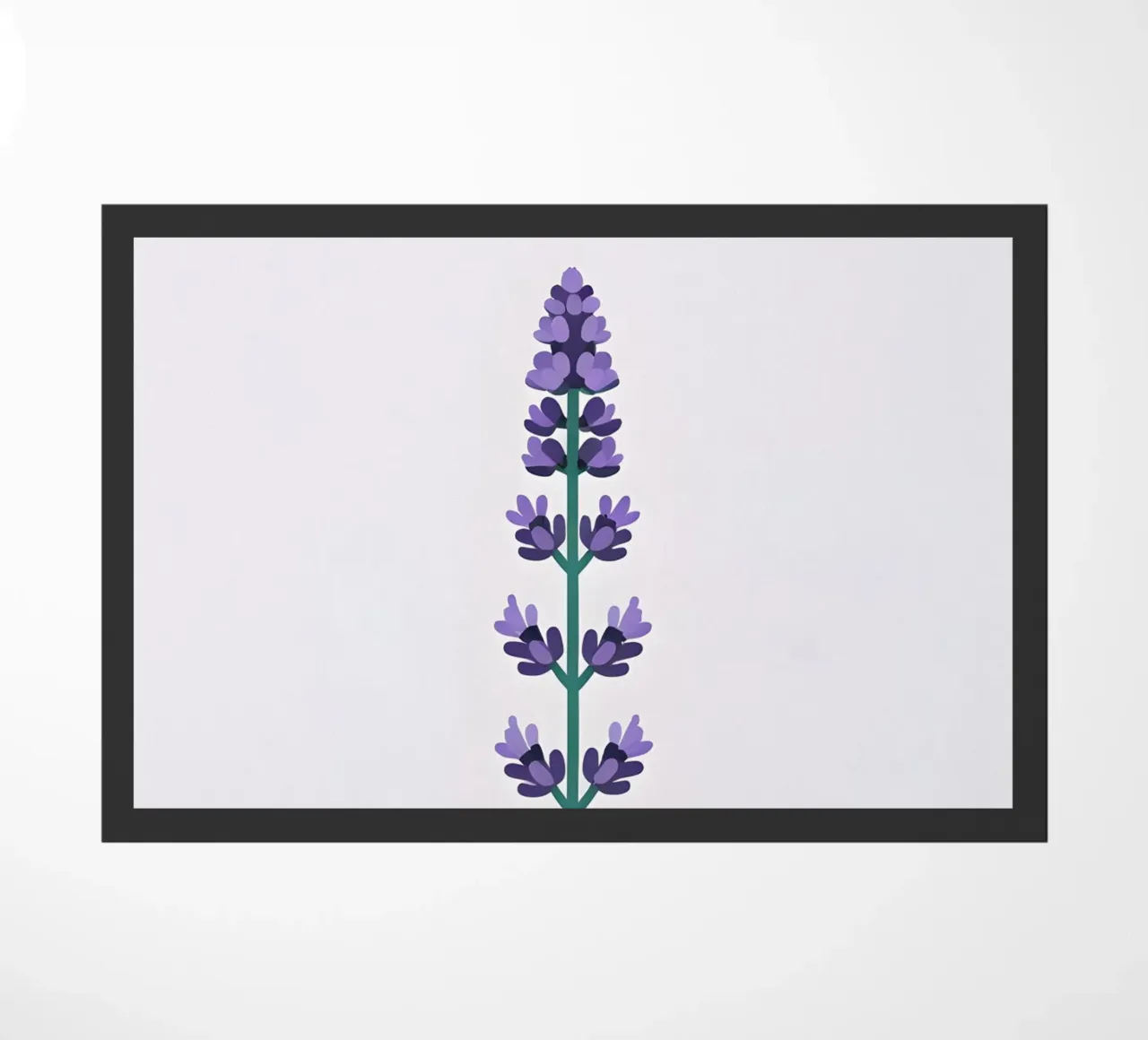 Stelo di lavanda zerbino da Botanical Gallery