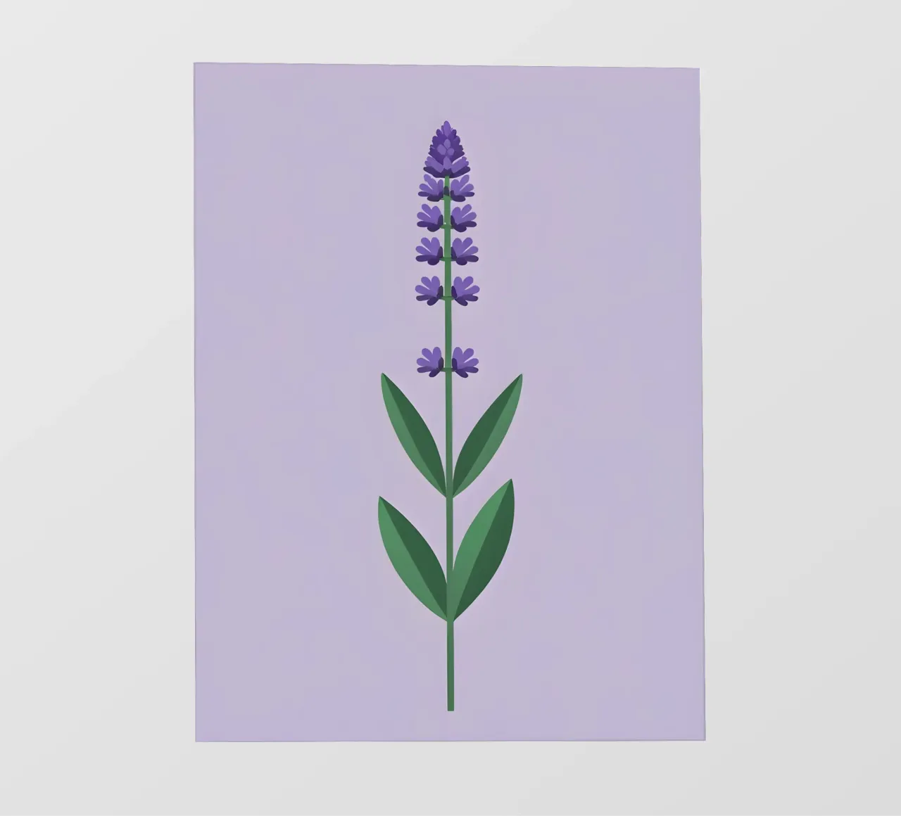 Stelo di lavanda pellicola backlit da Botanical Gallery