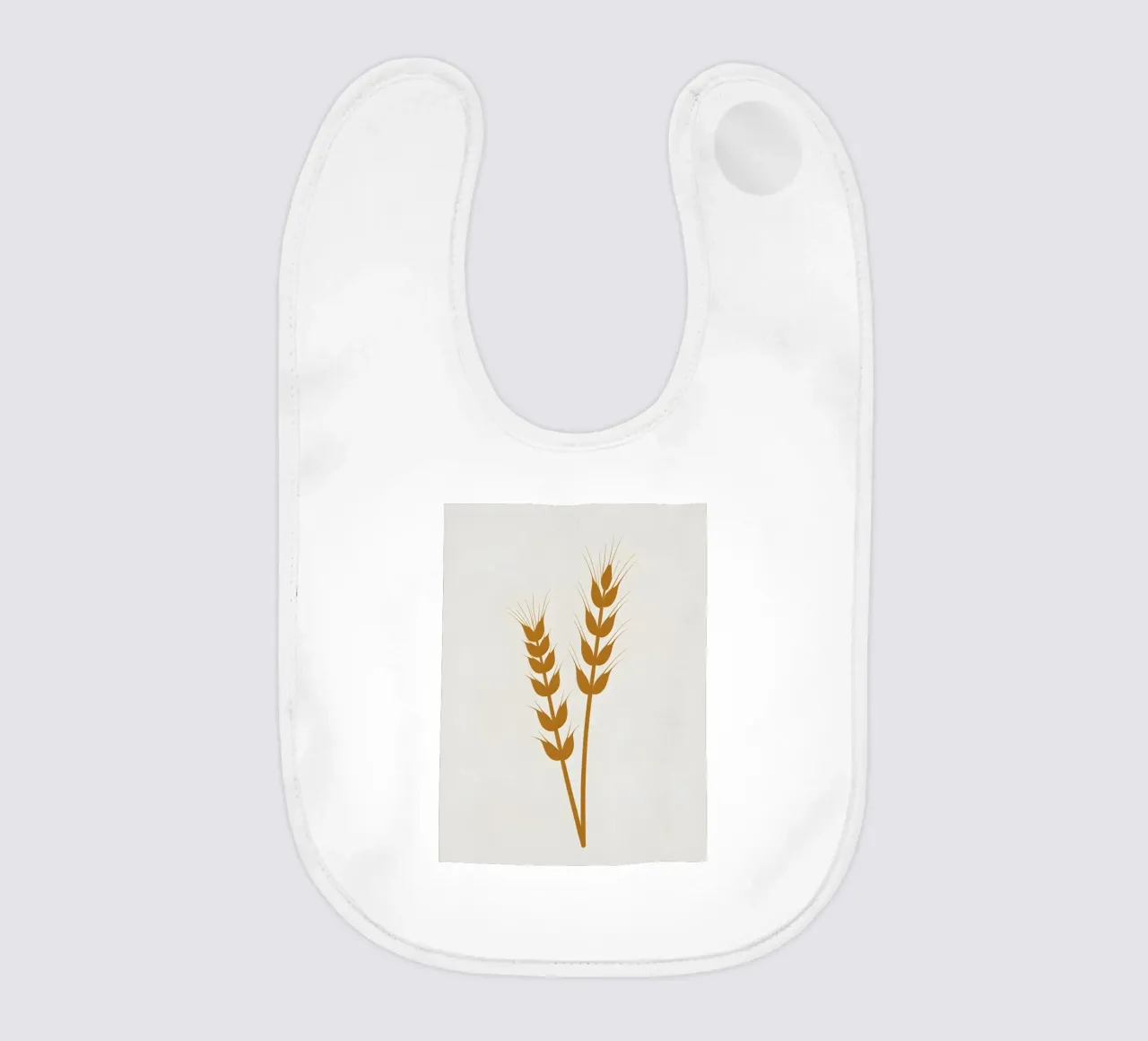 Orecchio d'orzo bavaglino da Botanical Gallery