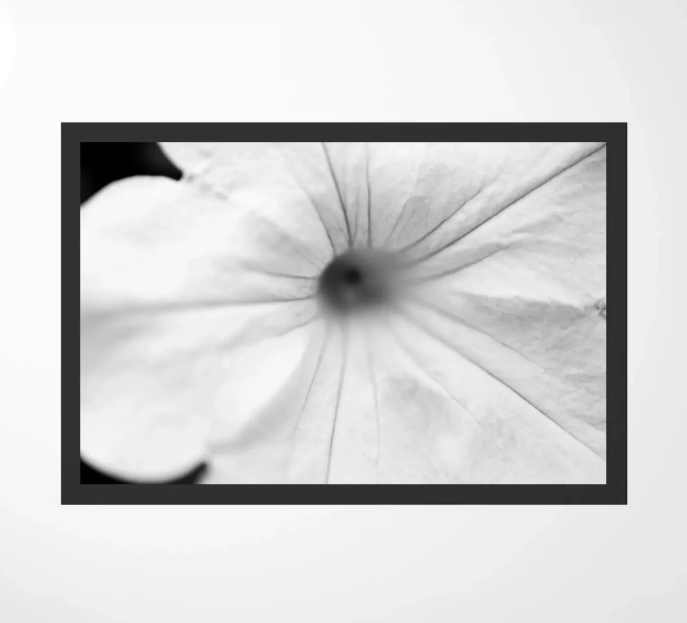 Flora #16 Fußmatte von rafael campezato