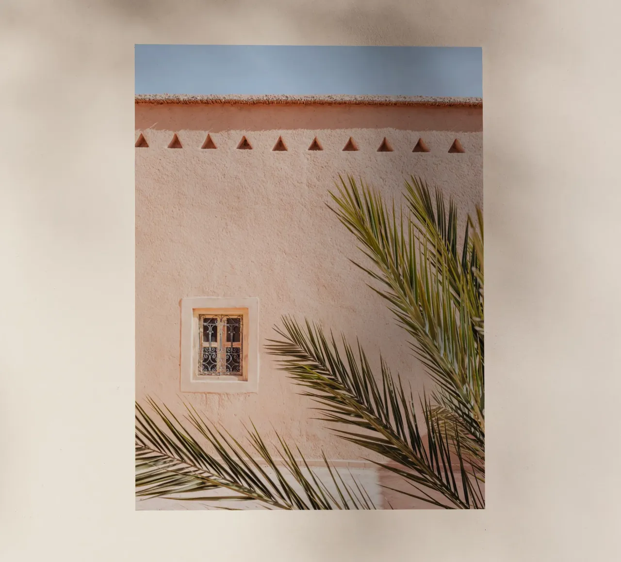 Palm, wall and window in Morocco lámina retroiluminada de photolovers