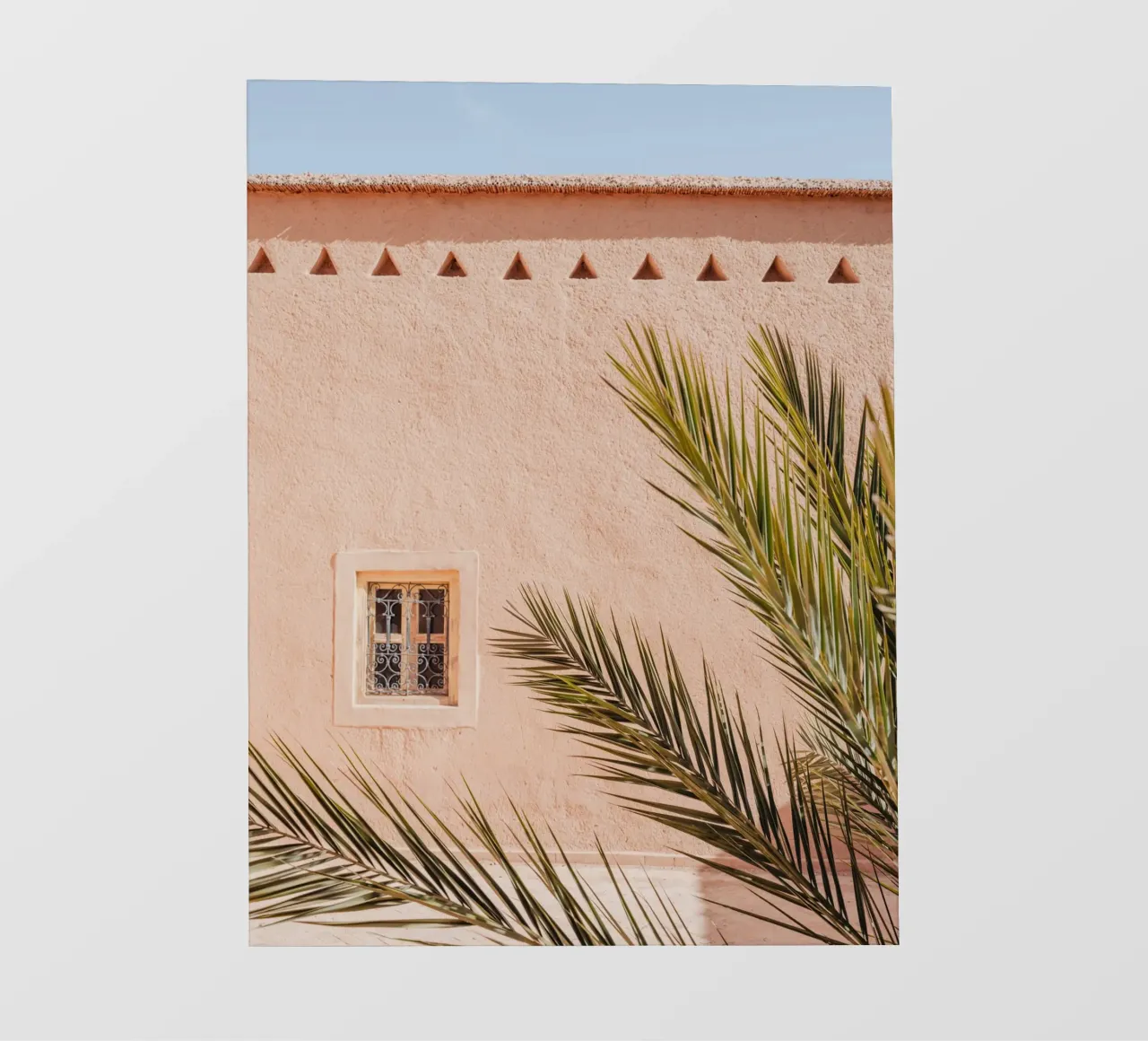 Palm, wall and window in Morocco lámina retroiluminada de photolovers