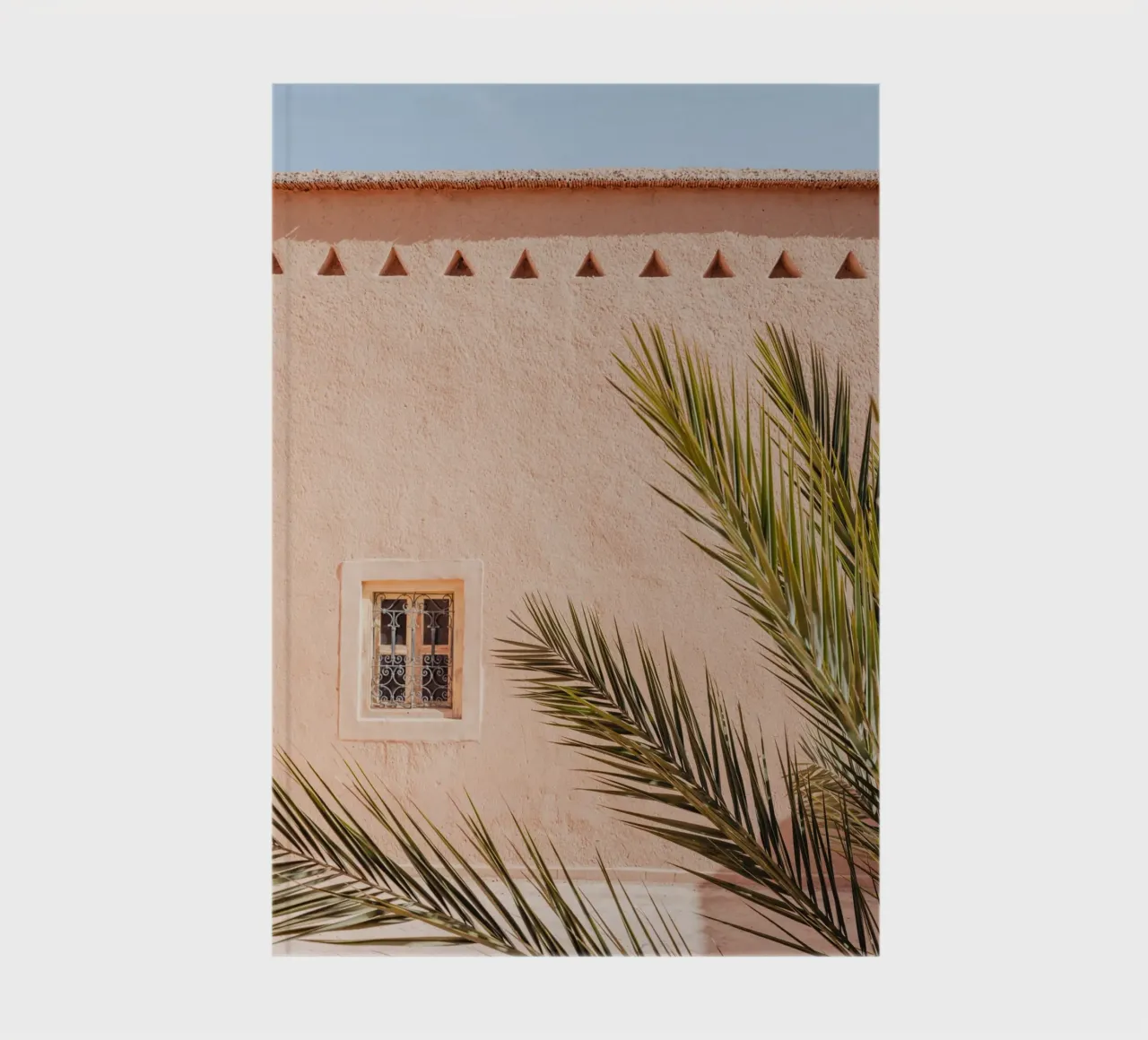 Palm, wall and window in Morocco notebook by photolovers
