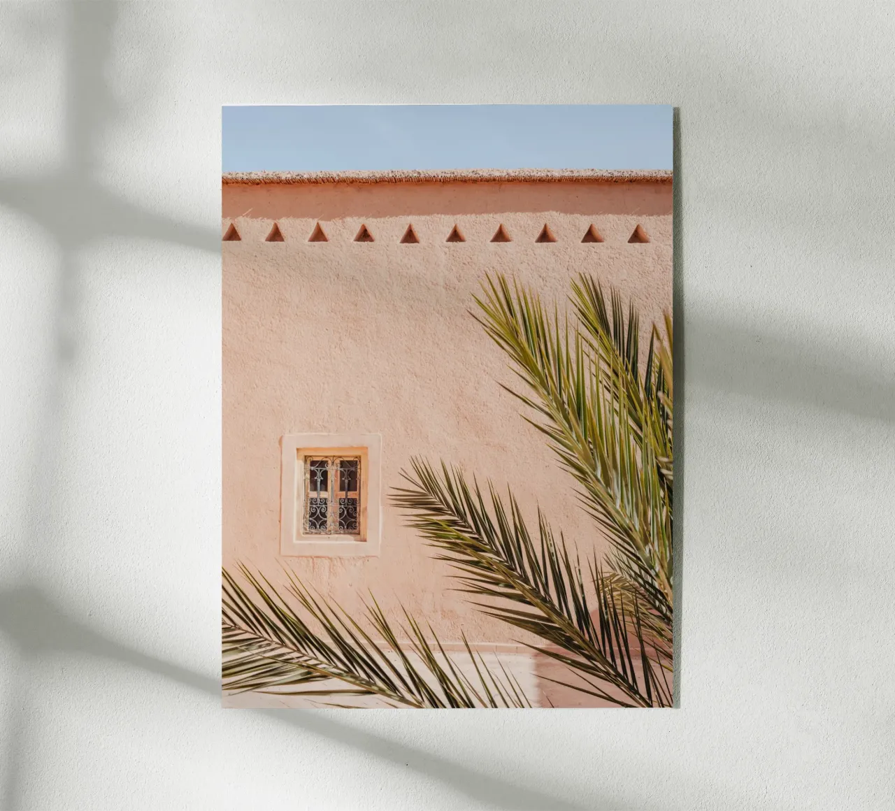 Palm, wall and window in Morocco metacrilato de photolovers