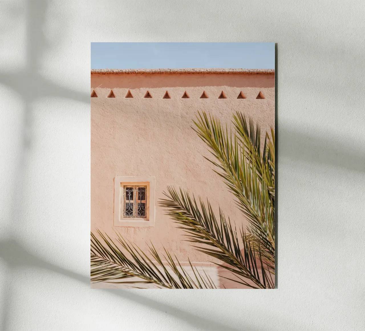 Palm, wall and window in Morocco alluminio dibond da photolovers