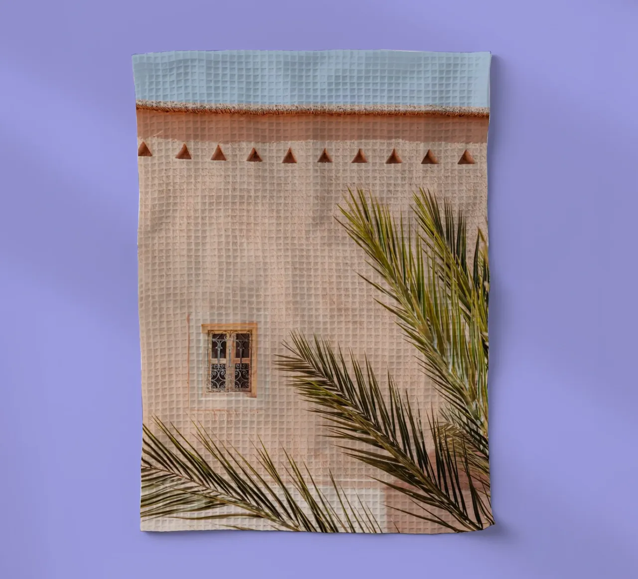 Palm, wall and window in Morocco canovaccio da cucina da photolovers