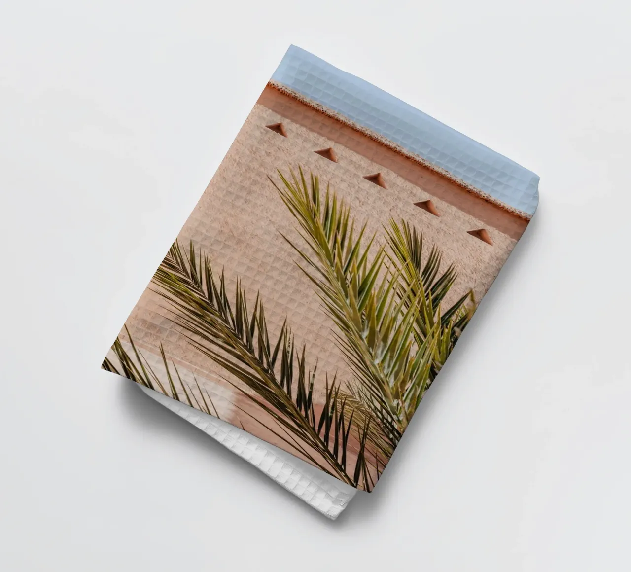 Palm, wall and window in Morocco canovaccio da cucina da photolovers
