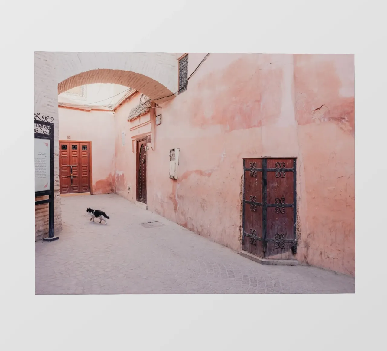Cat in the medina of Marrakesh pellicola backlit da photolovers