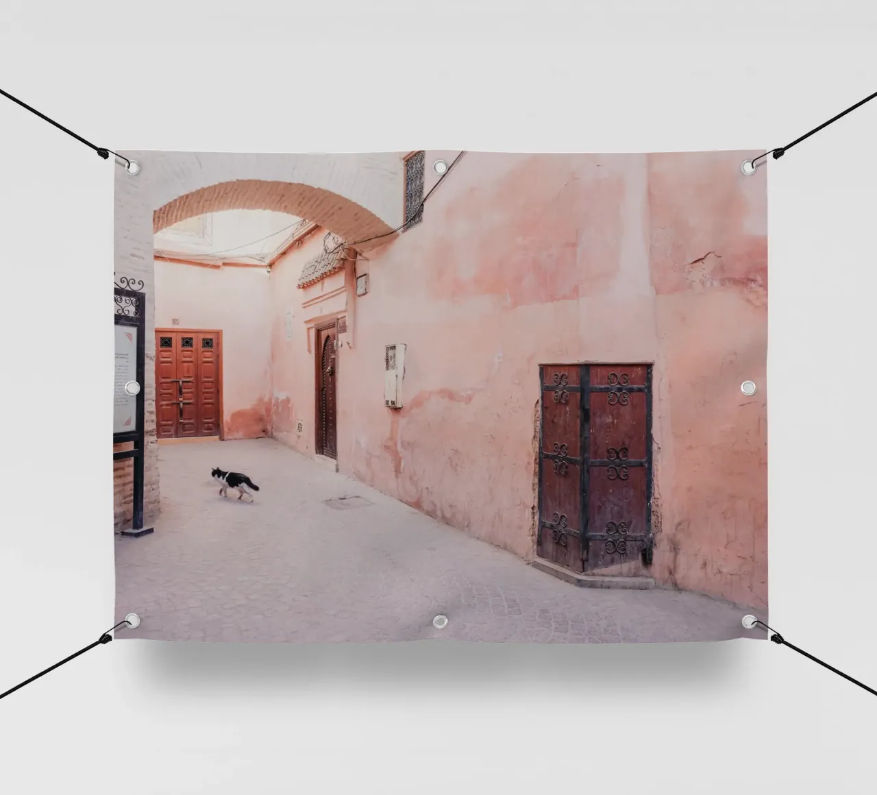 Cat in the medina of Marrakesh telo in pvc da photolovers