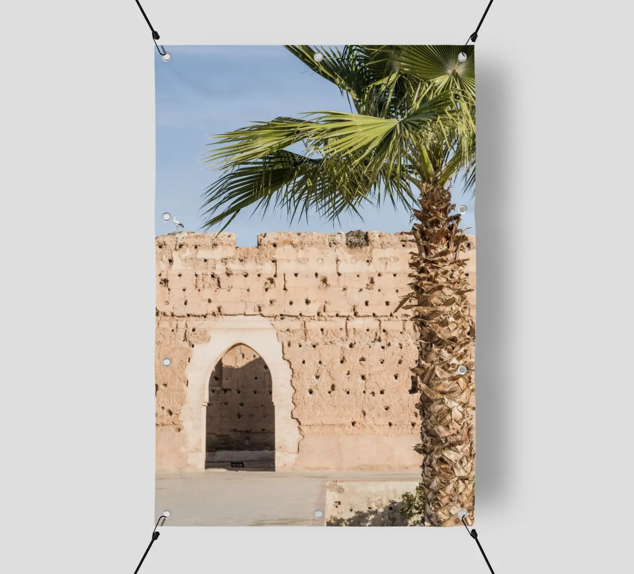 Stork and a palm tree telo in pvc da photolovers