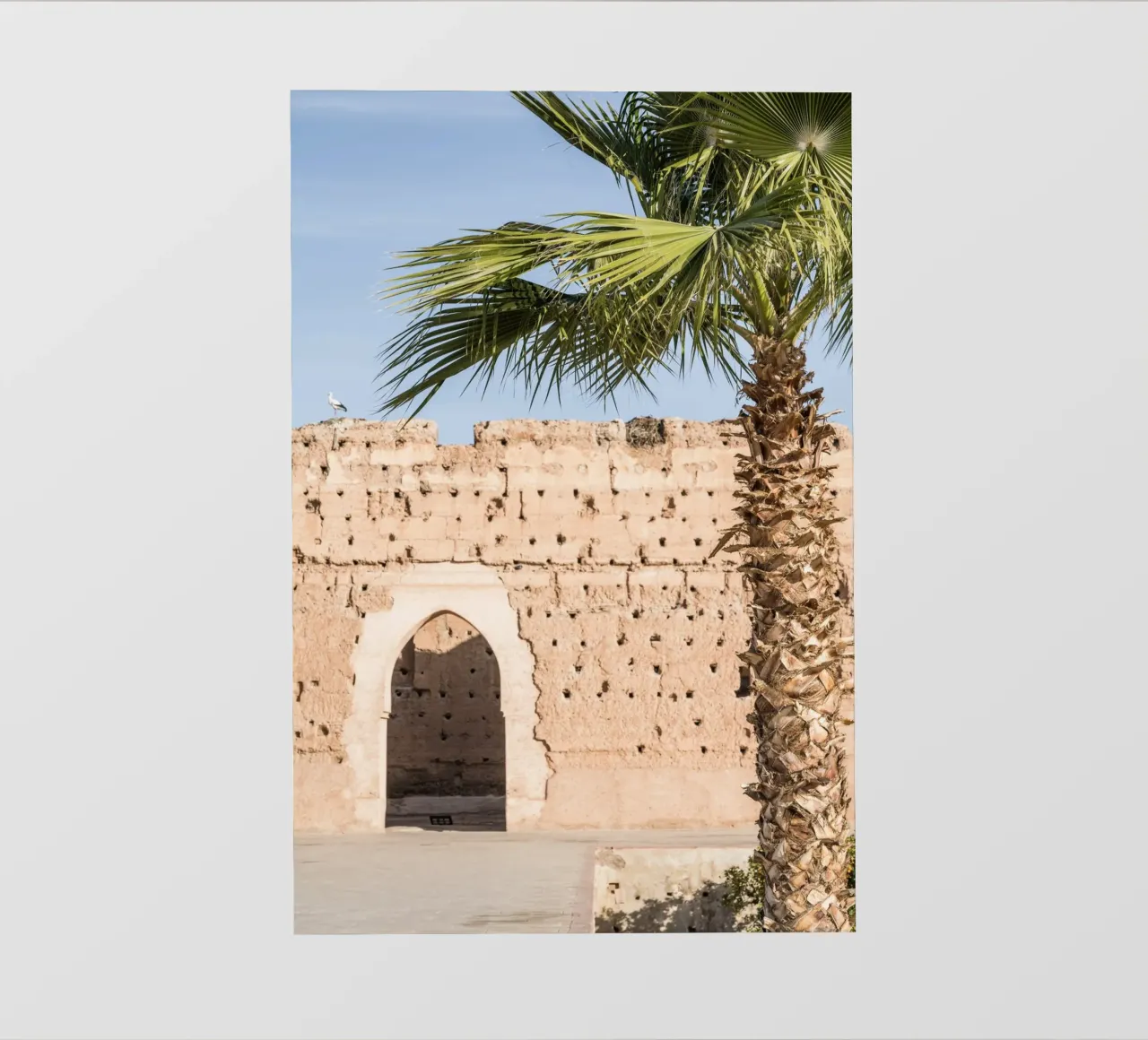Stork and a palm tree telo in pvc da photolovers