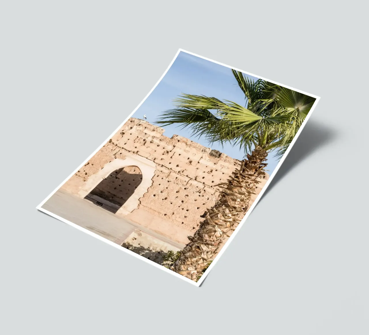 Stork and a palm tree Stickerbogen von photolovers