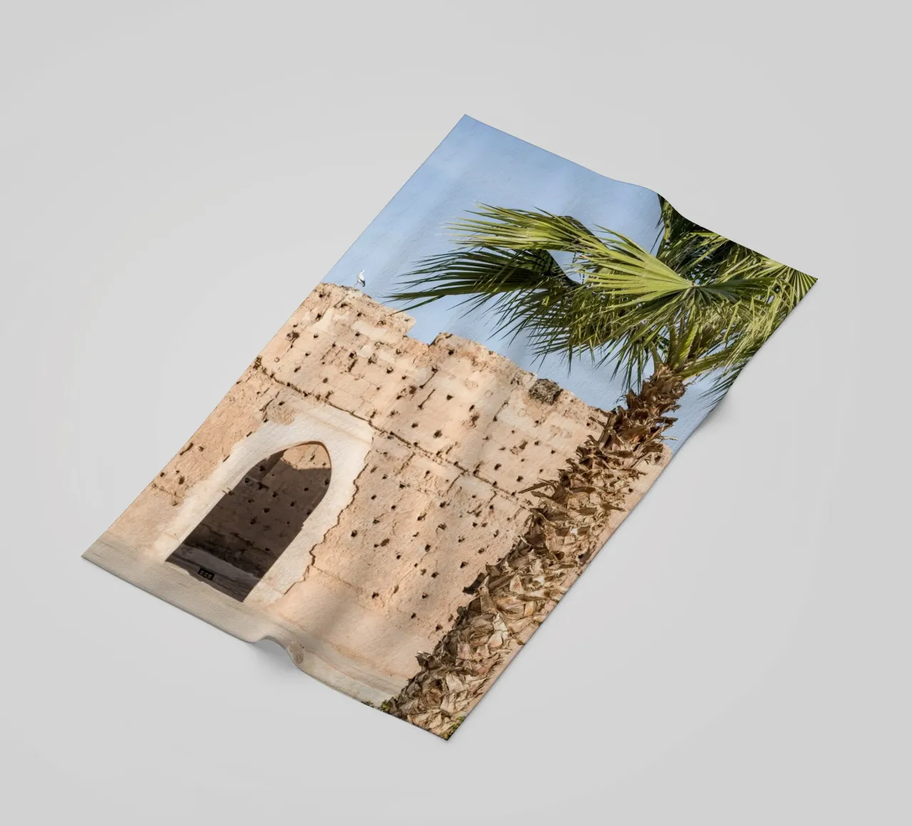 Stork and a palm tree telo mare da photolovers