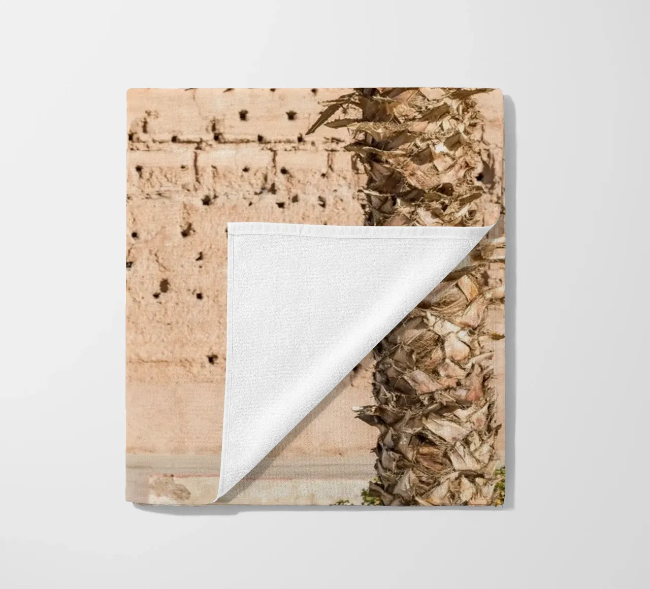 Stork and a palm tree telo mare da photolovers