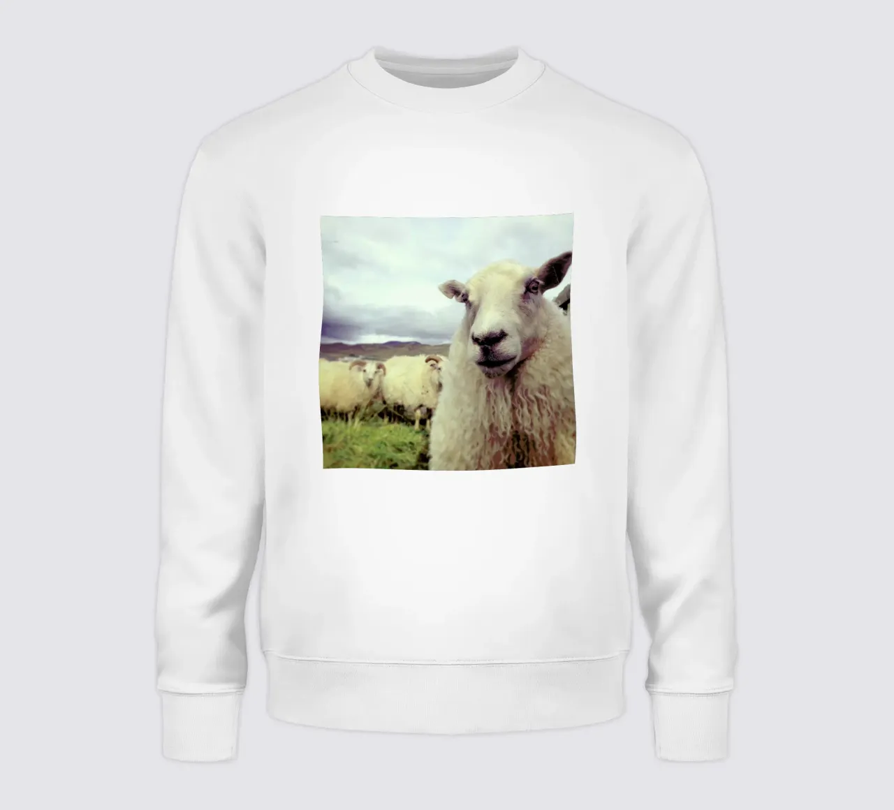 Whats Up felpa da Nur Mut