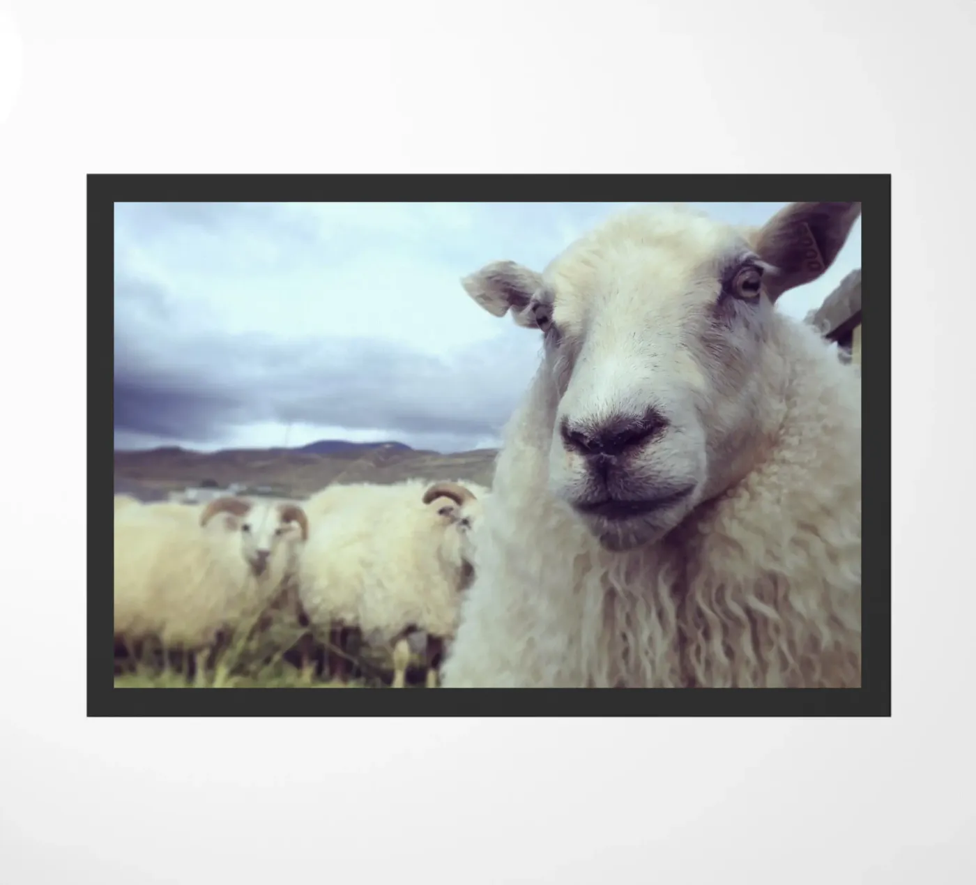 Whats Up doormat by Nur Mut