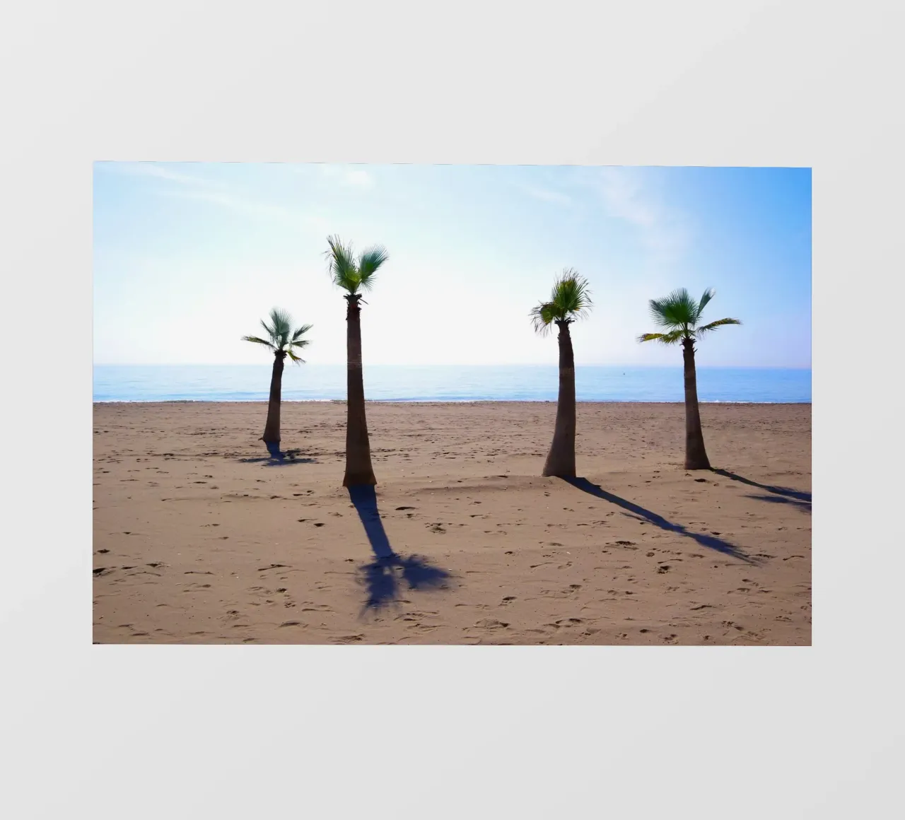 Palm trees at the beach pellicola backlit da Fjöllart