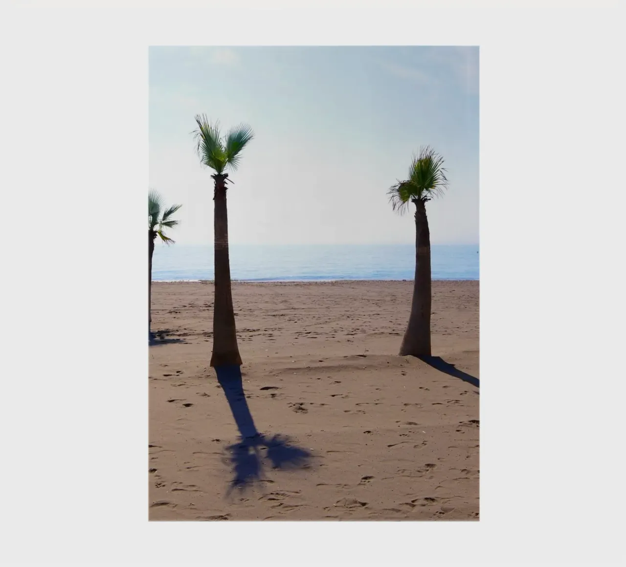 Palm trees at the beach notebook by Fjöllart