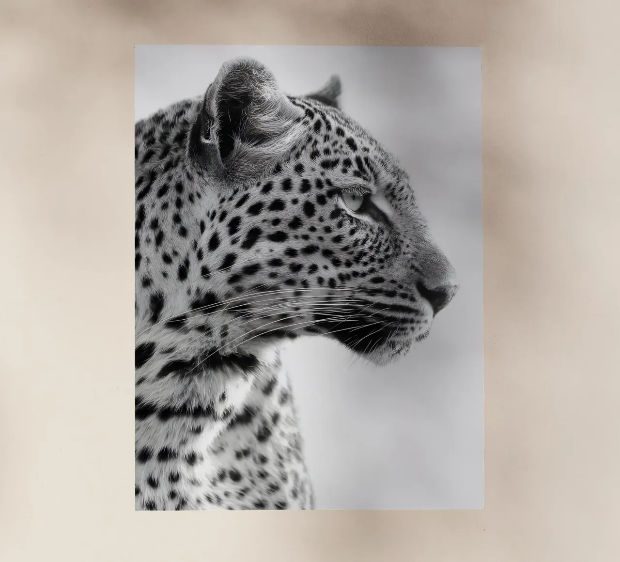Nero Bianco Tigre Leopardo pellicola backlit da IamHomeStudio