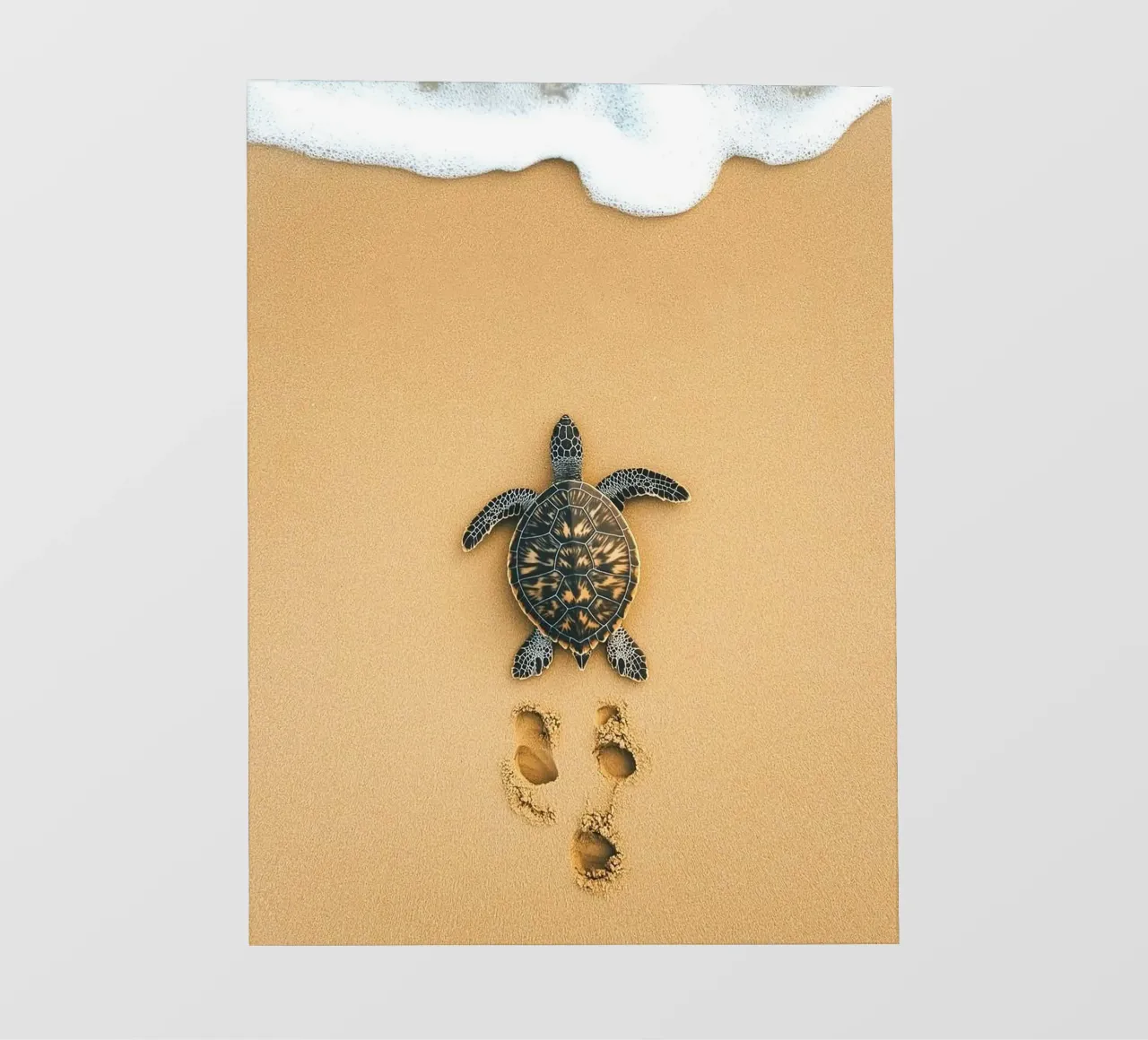 turtle on sand telo in pvc da Fost