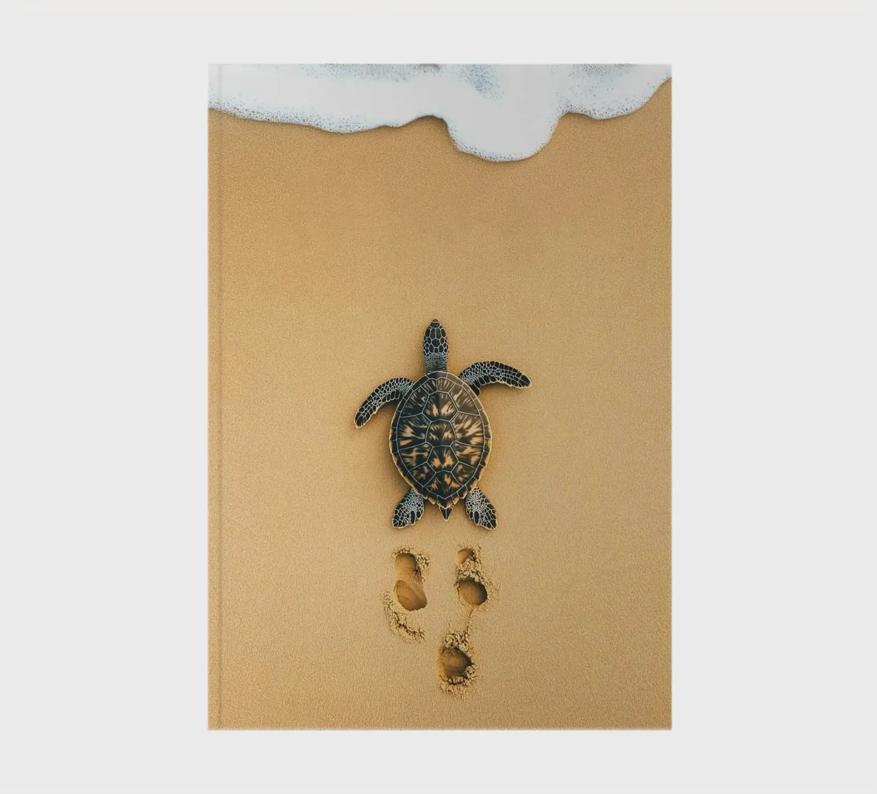 turtle on sand notebook by Fost