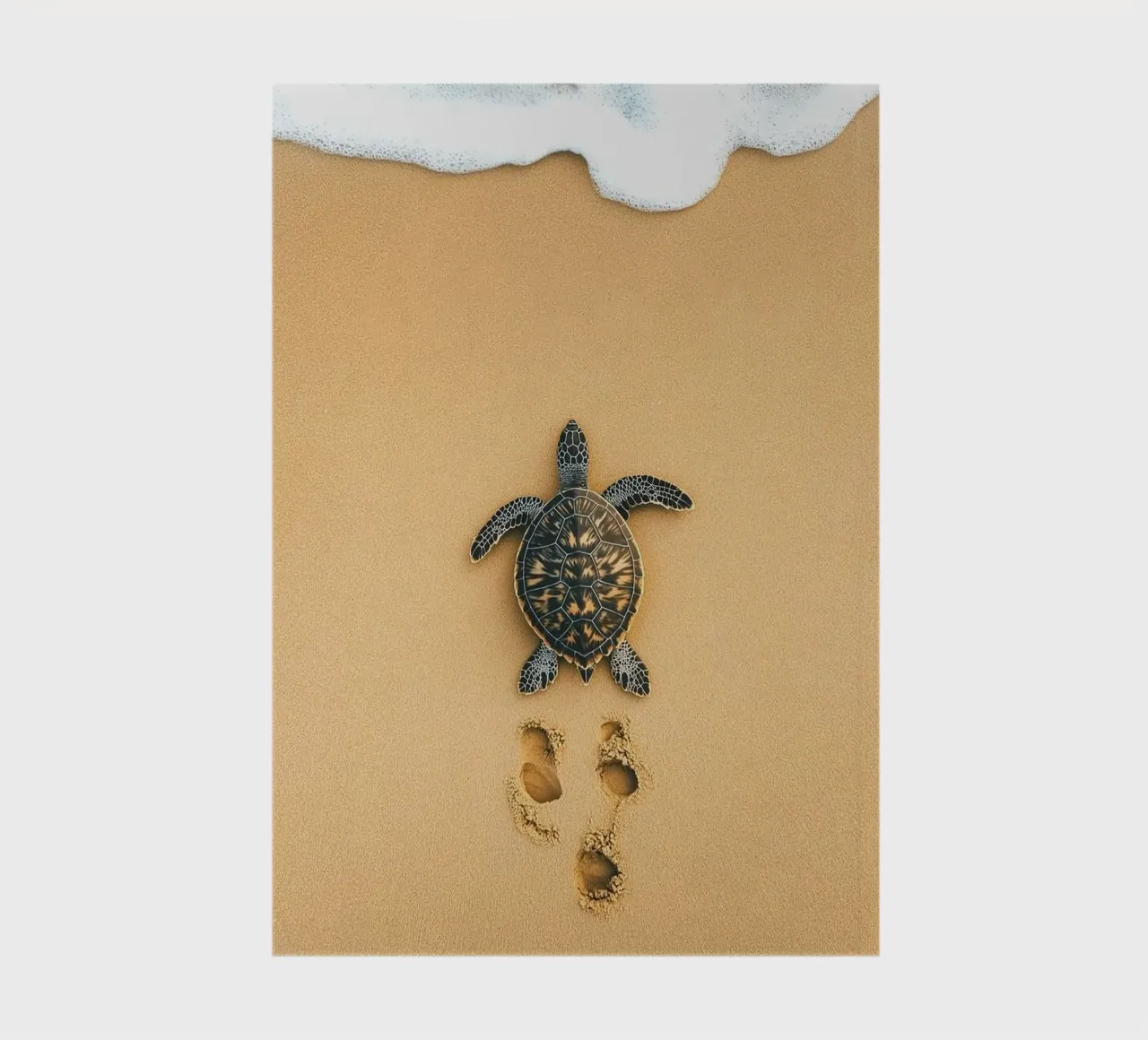 turtle on sand notebook by Fost